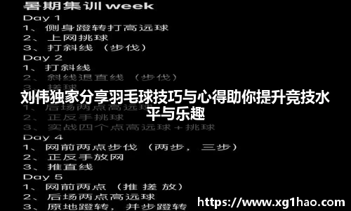刘伟独家分享羽毛球技巧与心得助你提升竞技水平与乐趣
